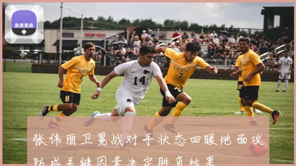 张伟丽卫冕战对手状态回暖地面攻防成关键因素决定胜负结果